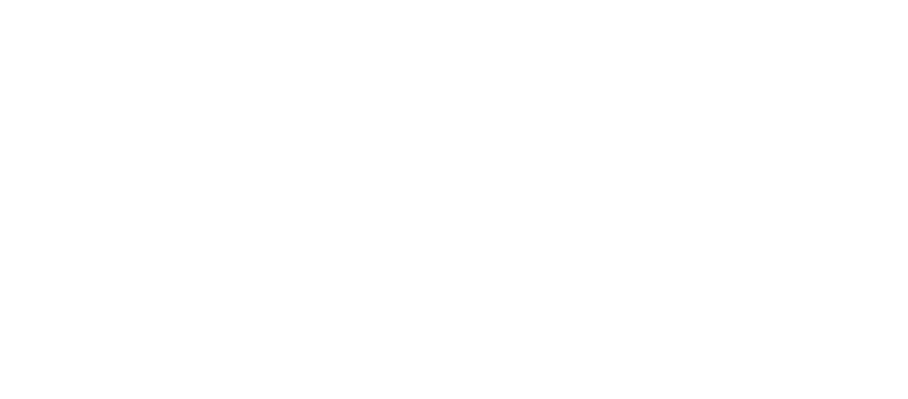 Banner 4