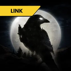 Night Crows - Link